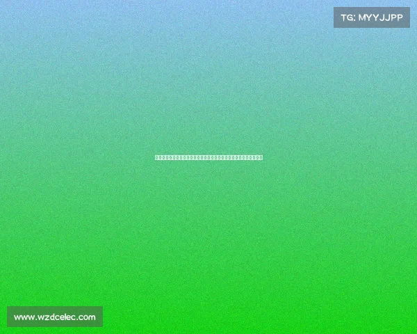 聚焦中国击剑运动各类赛事包括全国锦标赛世界杯奥运资格赛精彩回顾